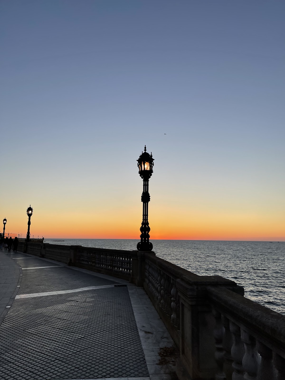 University of Cadiz photo 6