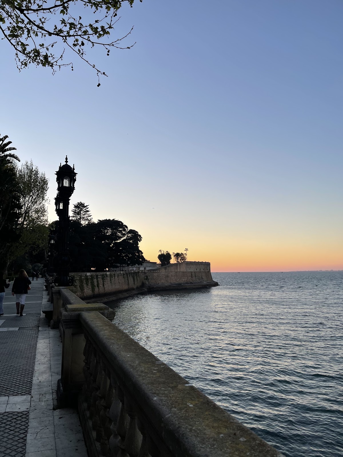 University of Cadiz photo 7