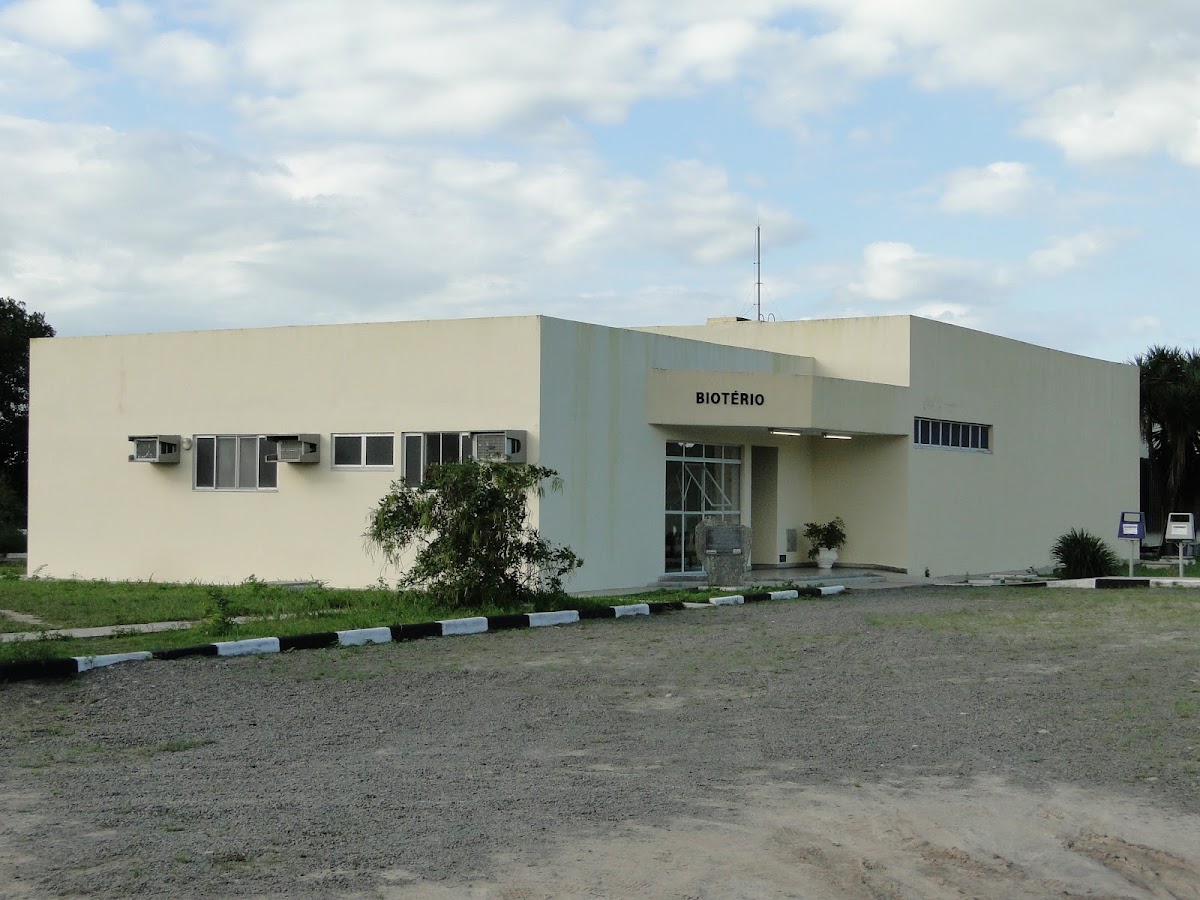 State University of Feira de Santana photo 1