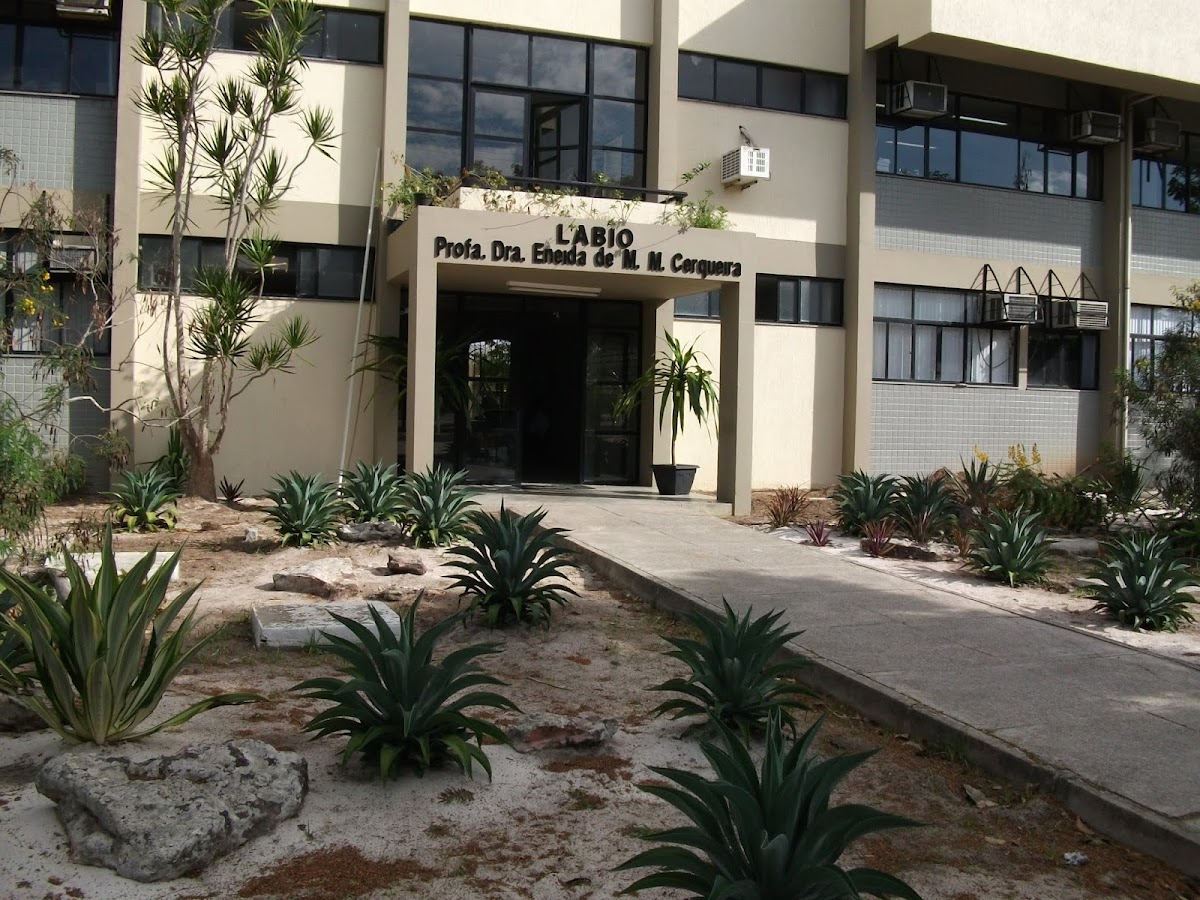 State University of Feira de Santana photo 5