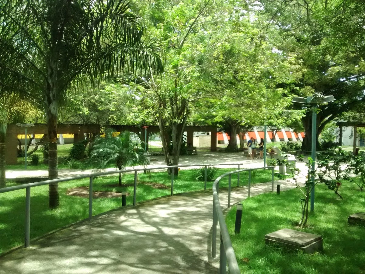 State University of Feira de Santana photo 7