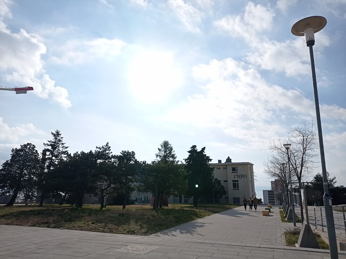 University of Rijeka photo 4