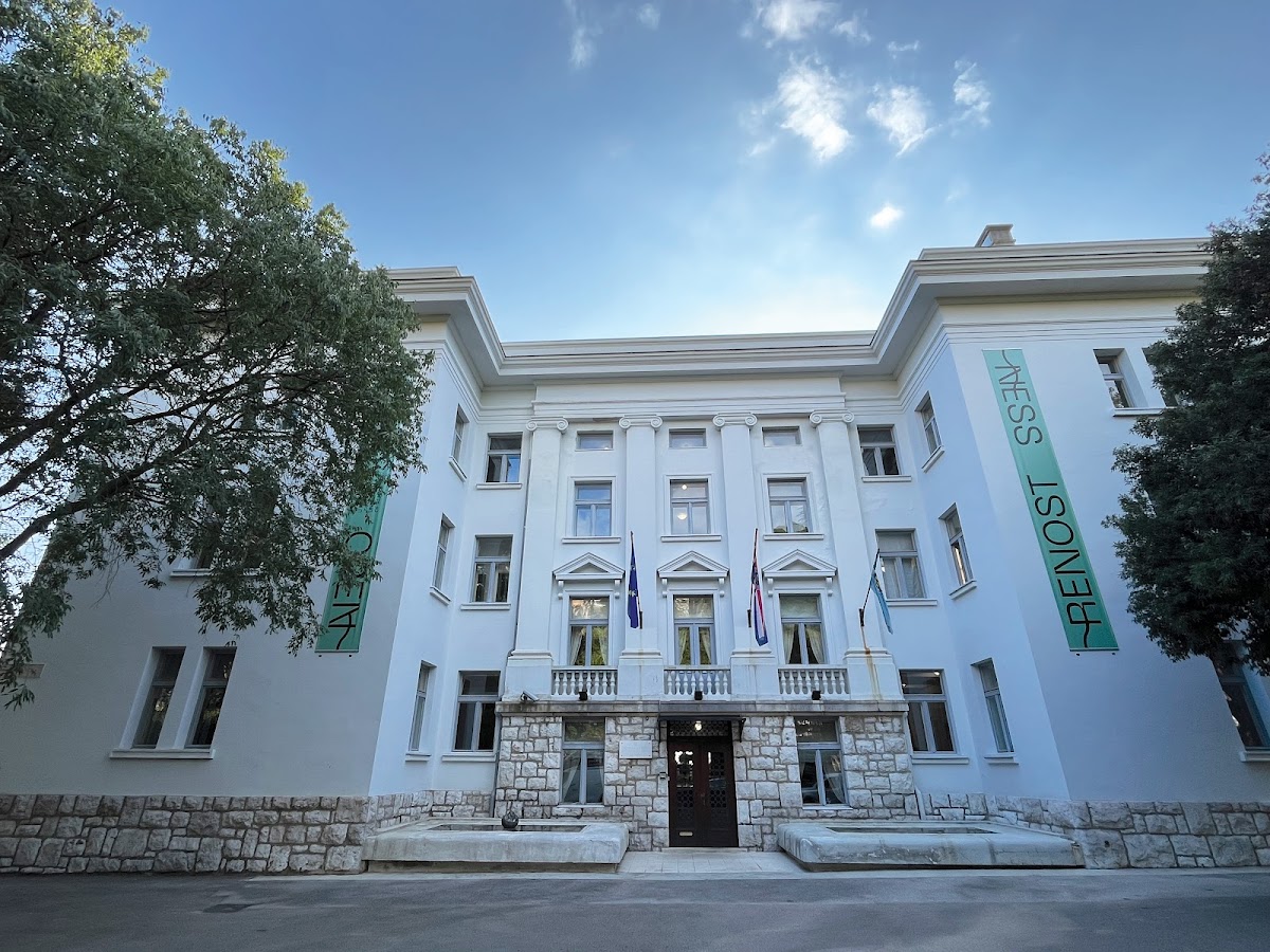 University of Rijeka photo 5