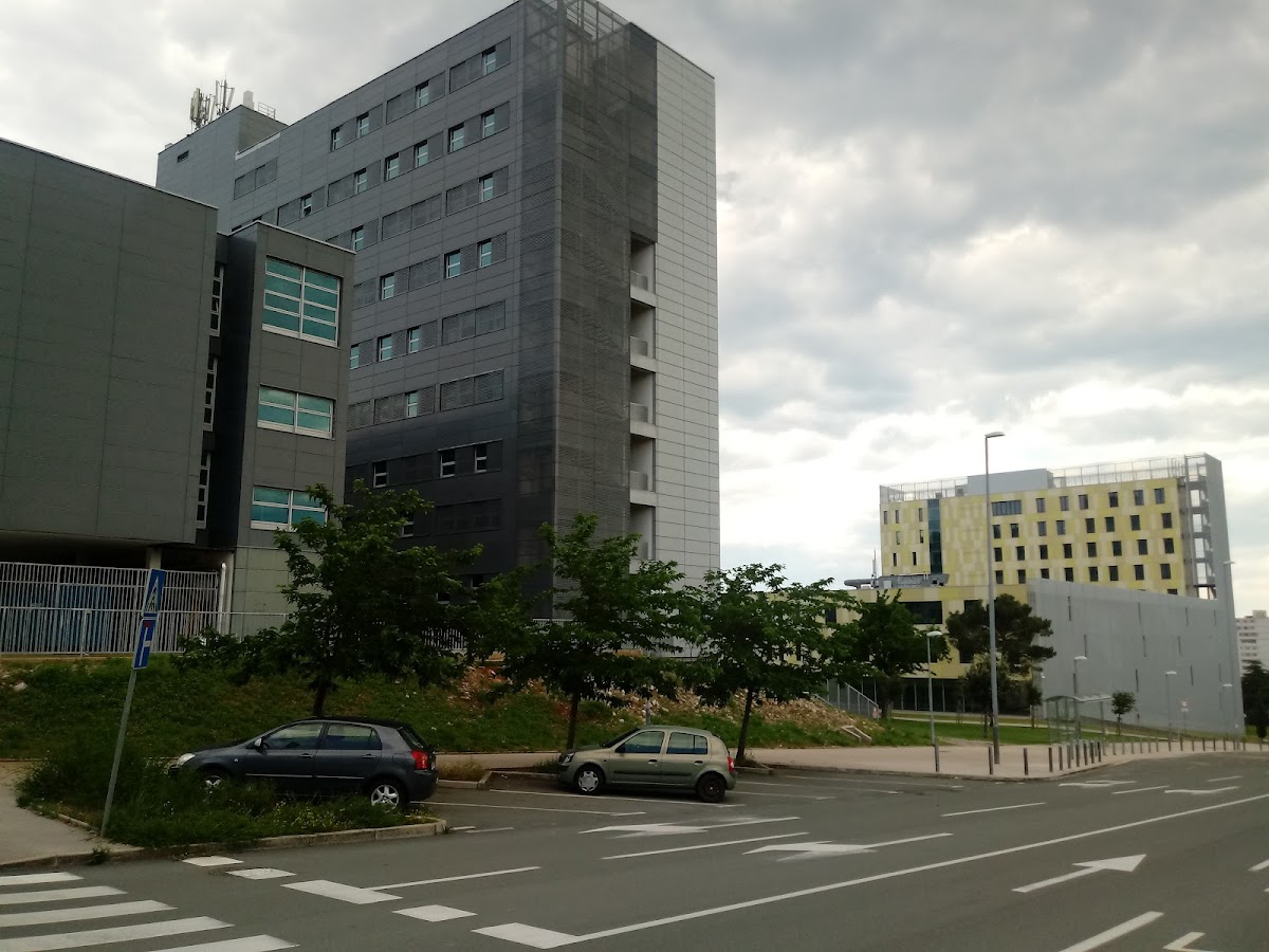 University of Rijeka photo 7