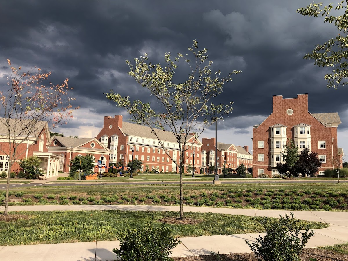 Bucknell University photo 7