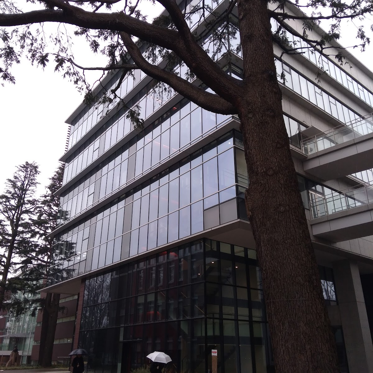 Seikei University photo 7