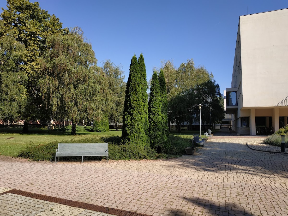University of Nyíregyháza photo 4