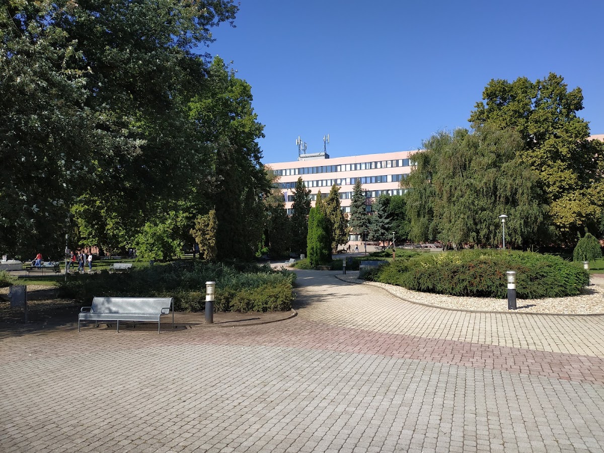 University of Nyíregyháza photo 5