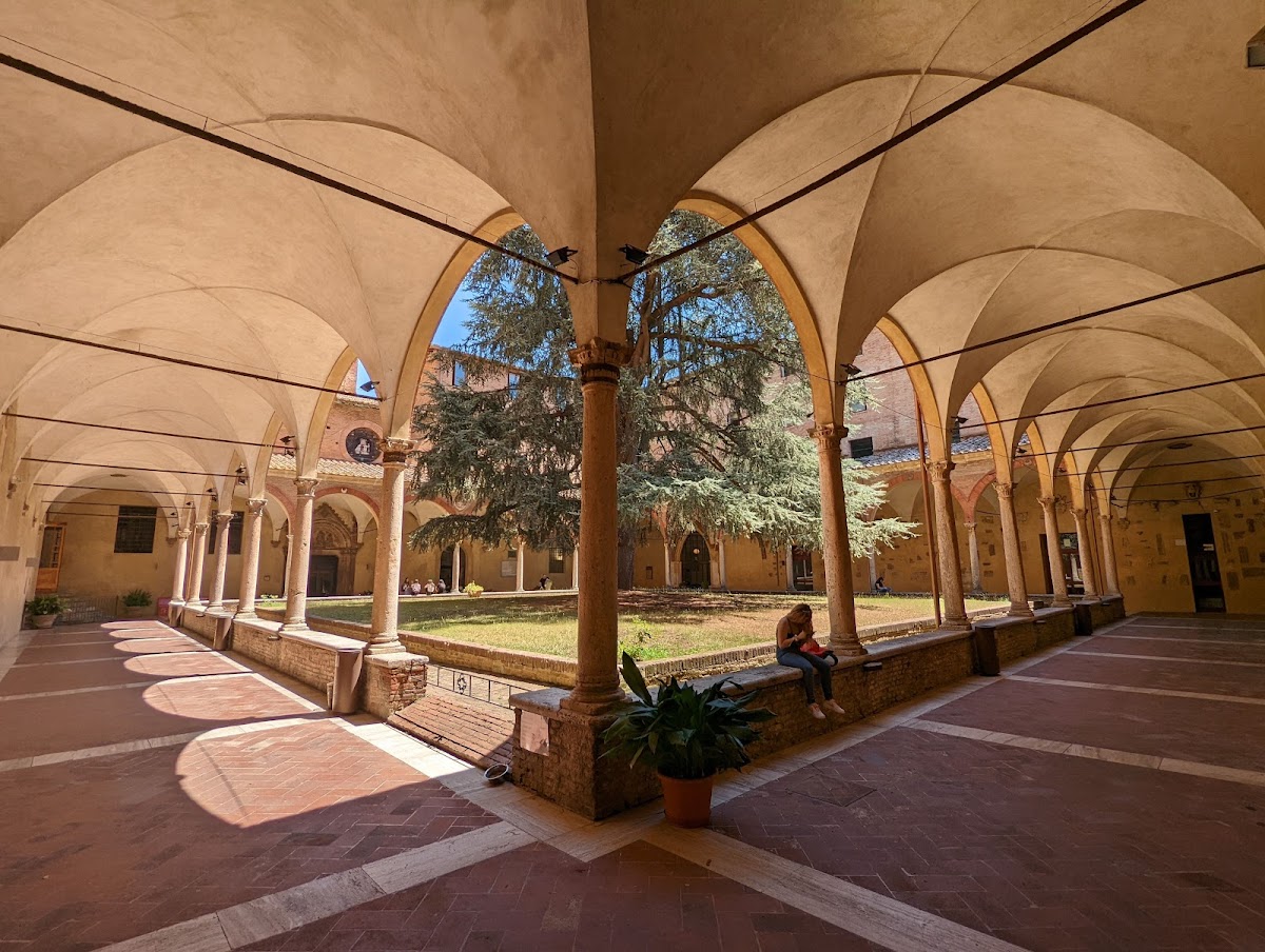 University of Siena - Economics photo 3