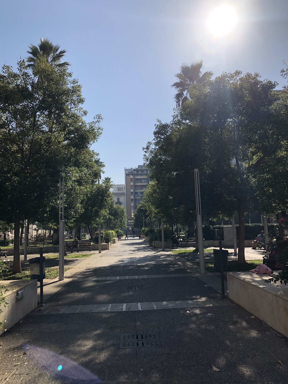 University of Bari photo 8