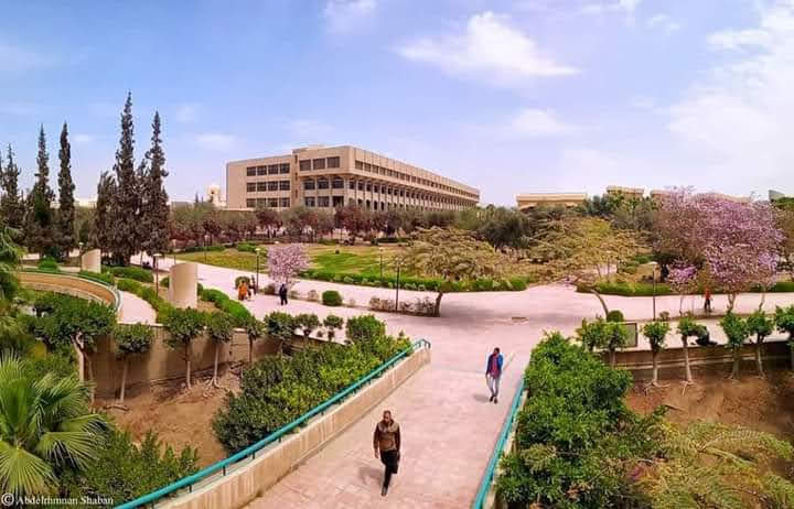 Helwan University photo 1