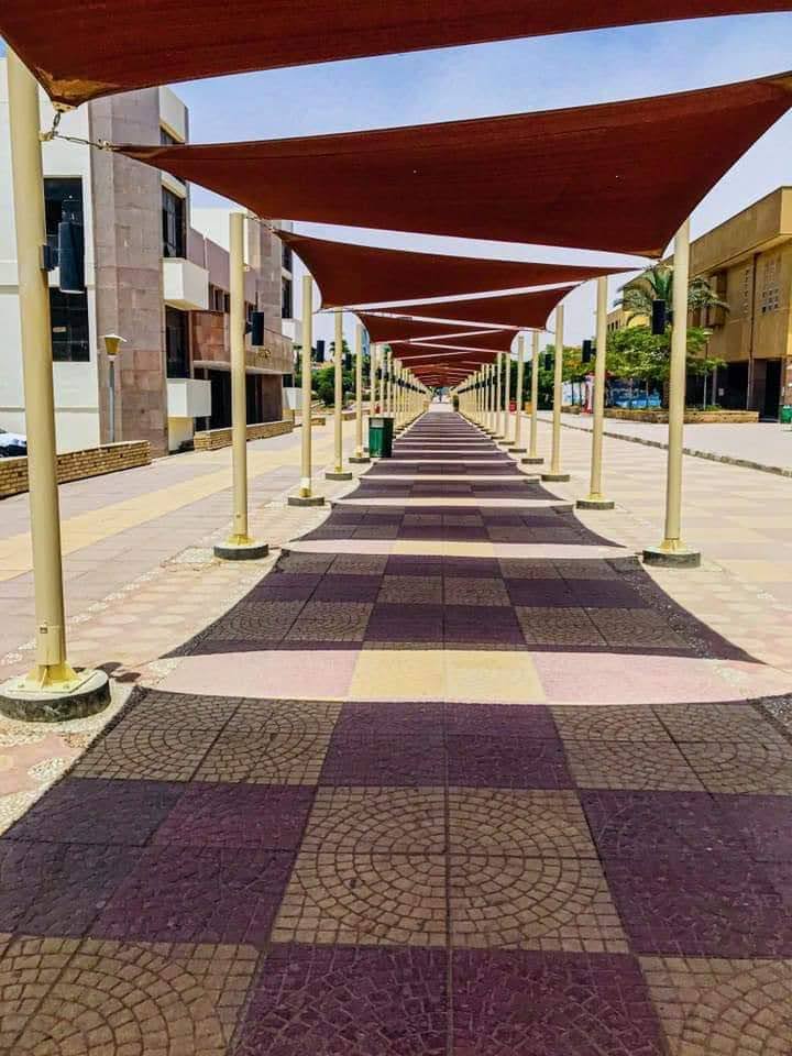 Helwan University photo 9