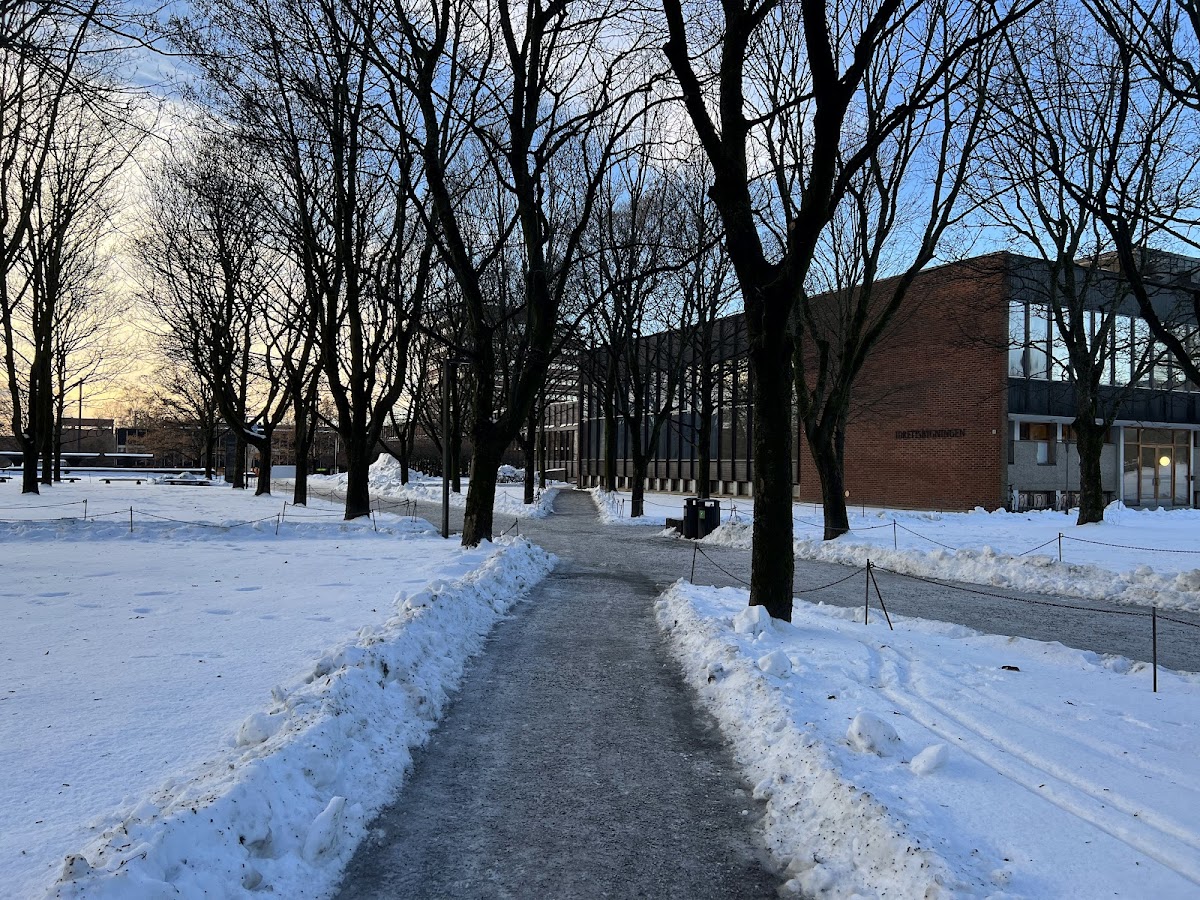 University of Oslo photo 4