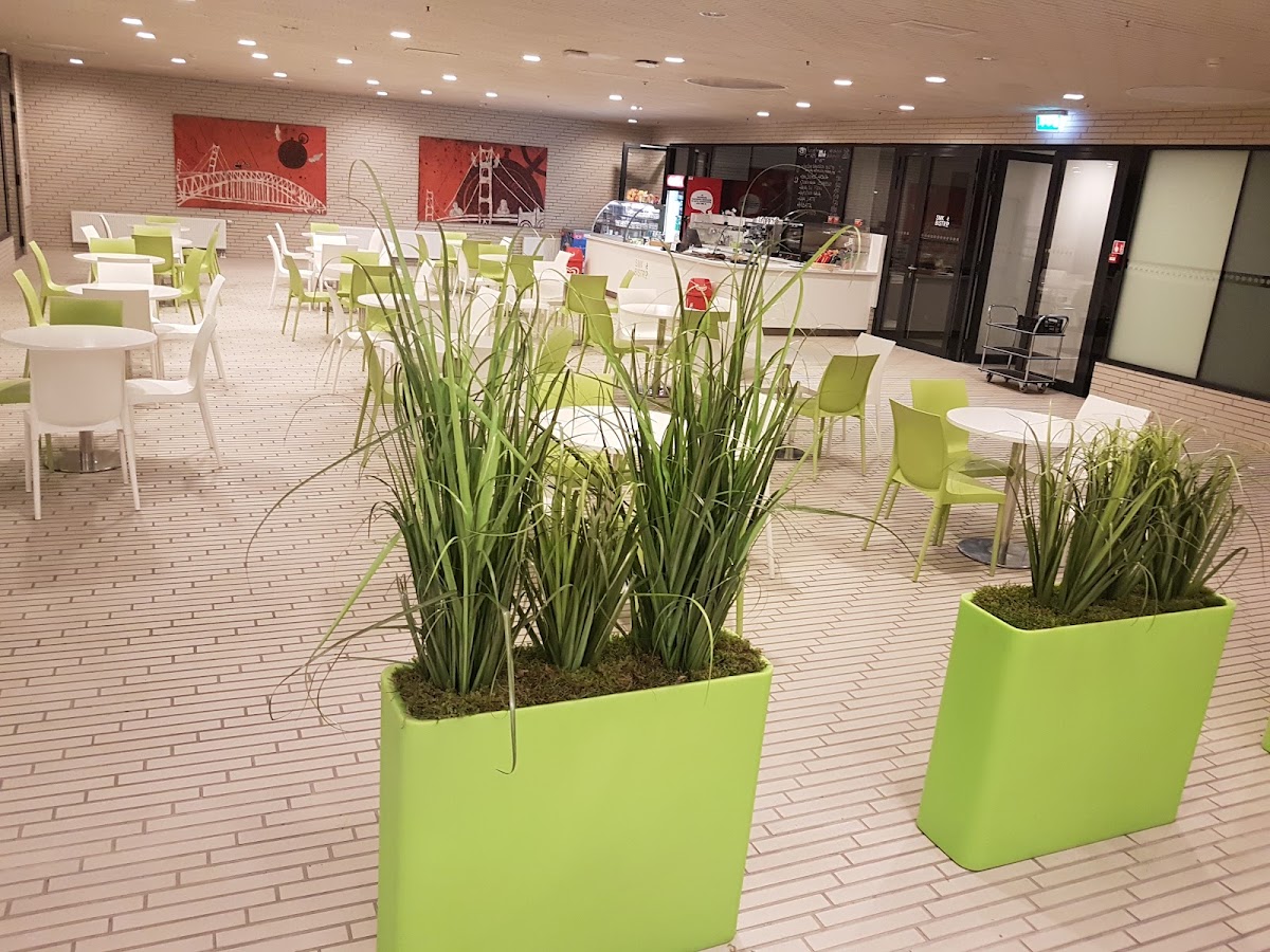 University of Applied Social Sciences photo 9