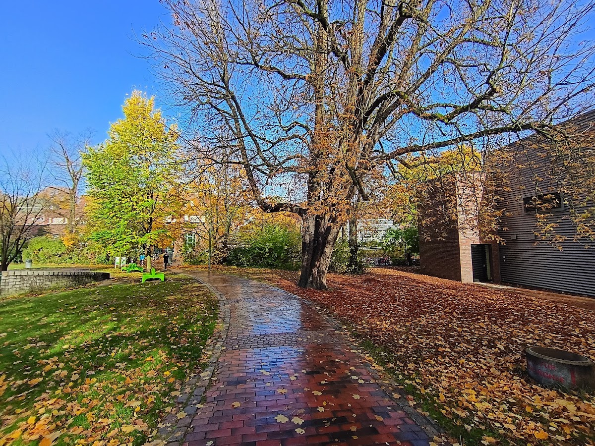 Hamburg University of Technology photo 8