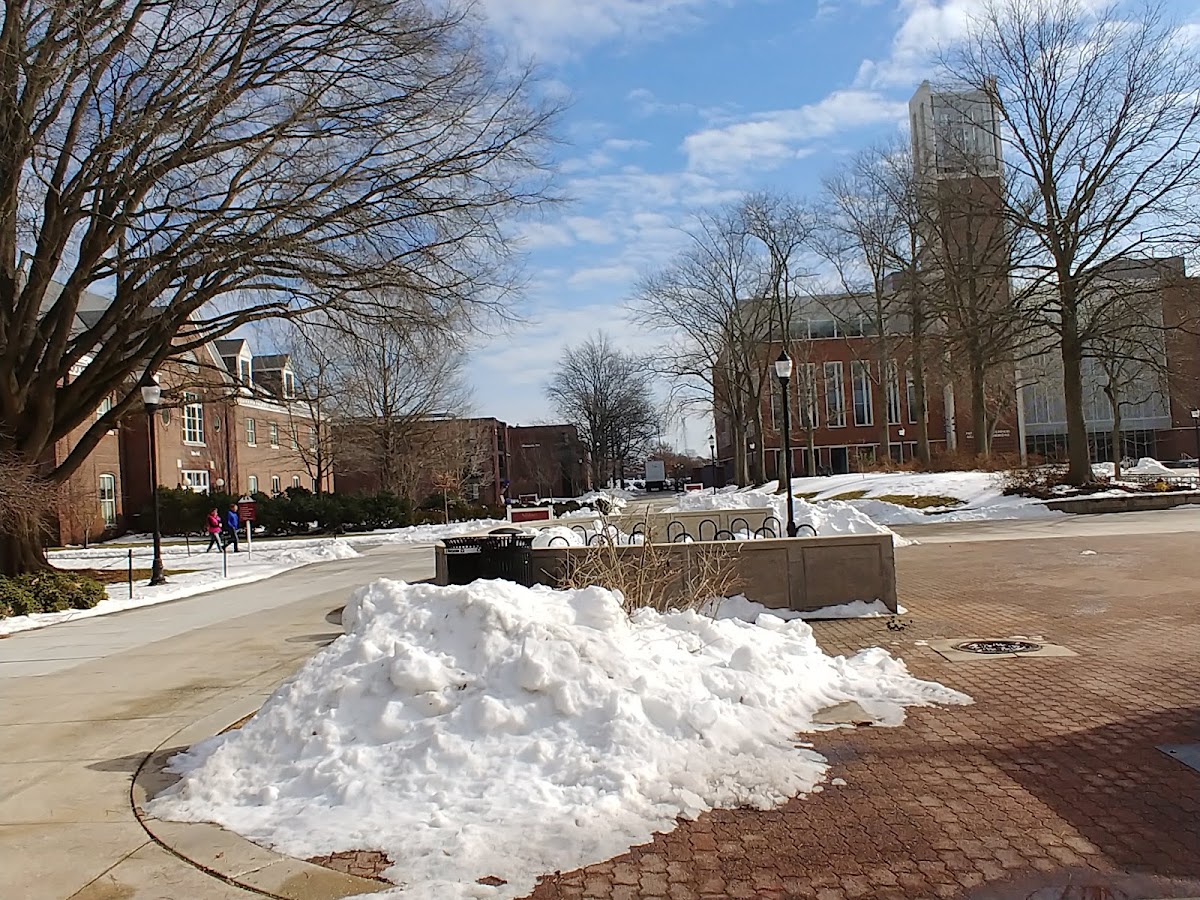 Salisbury University photo 4