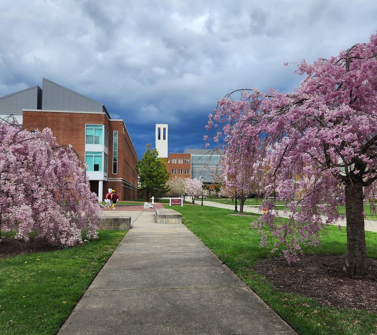 Salisbury University photo 7