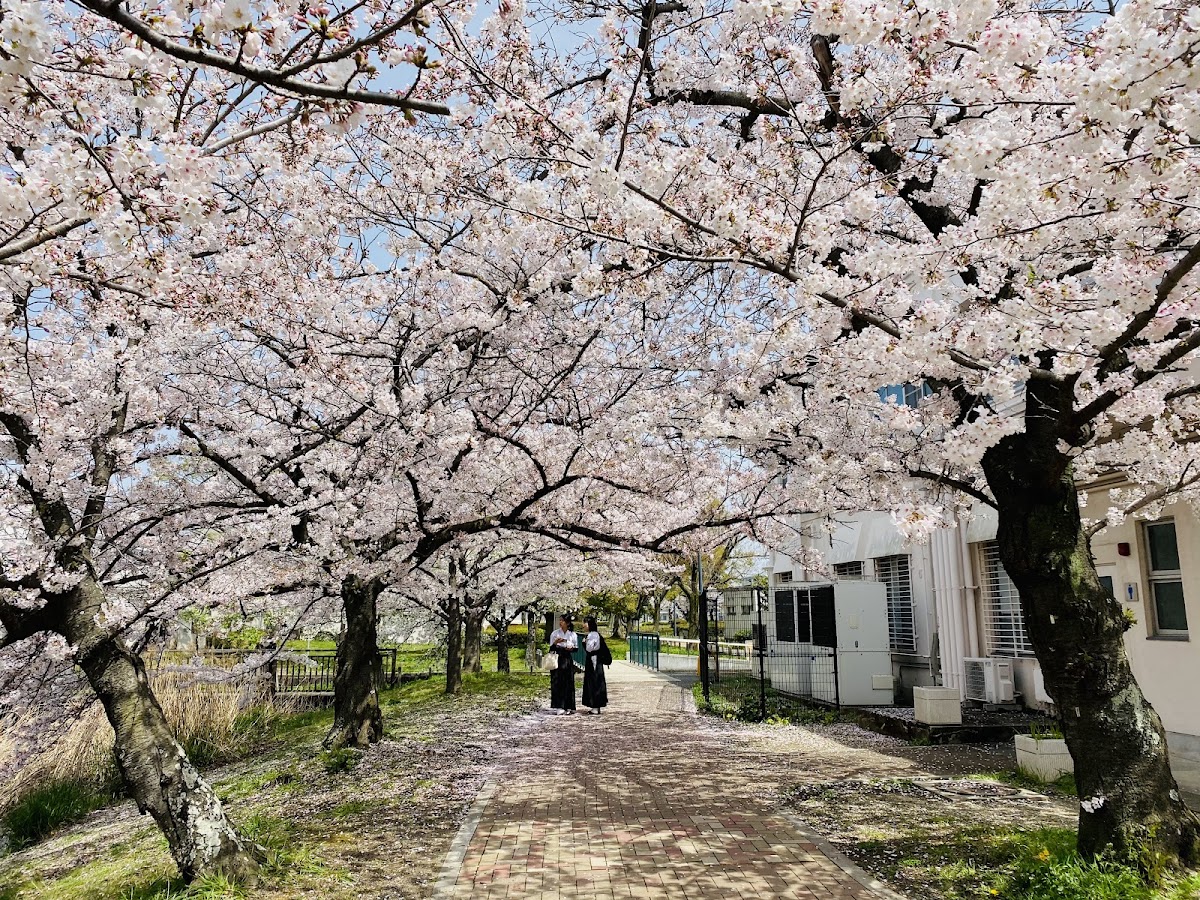 Osaka Metropolitan University photo 4