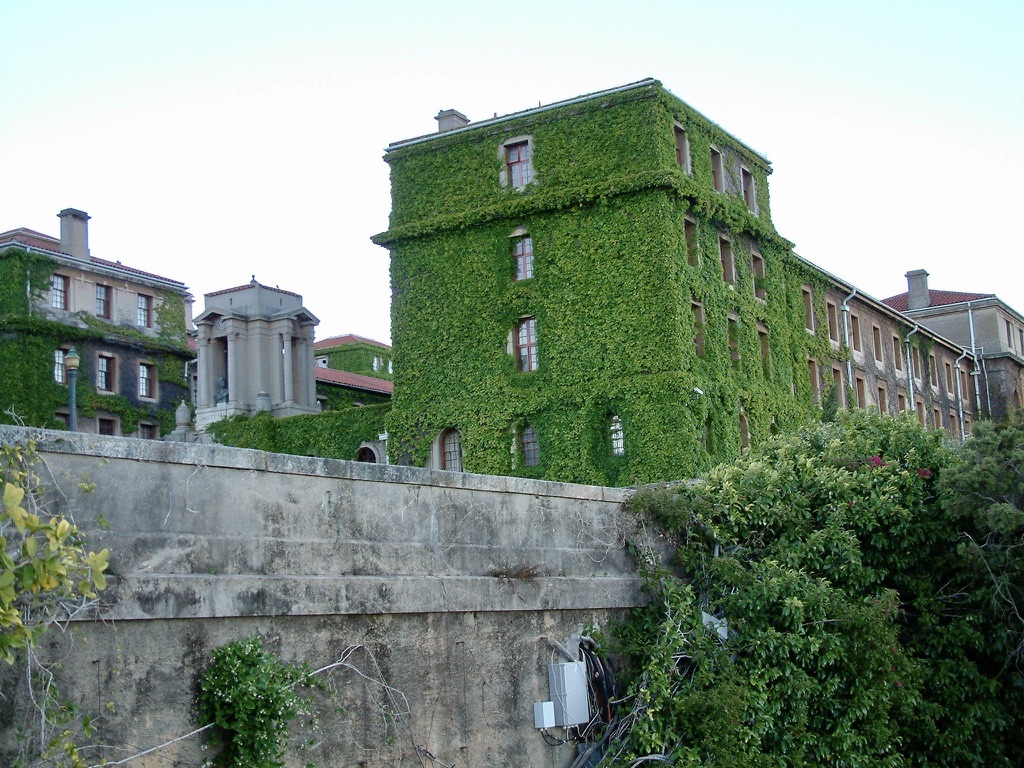 University of Cape Town photo 7