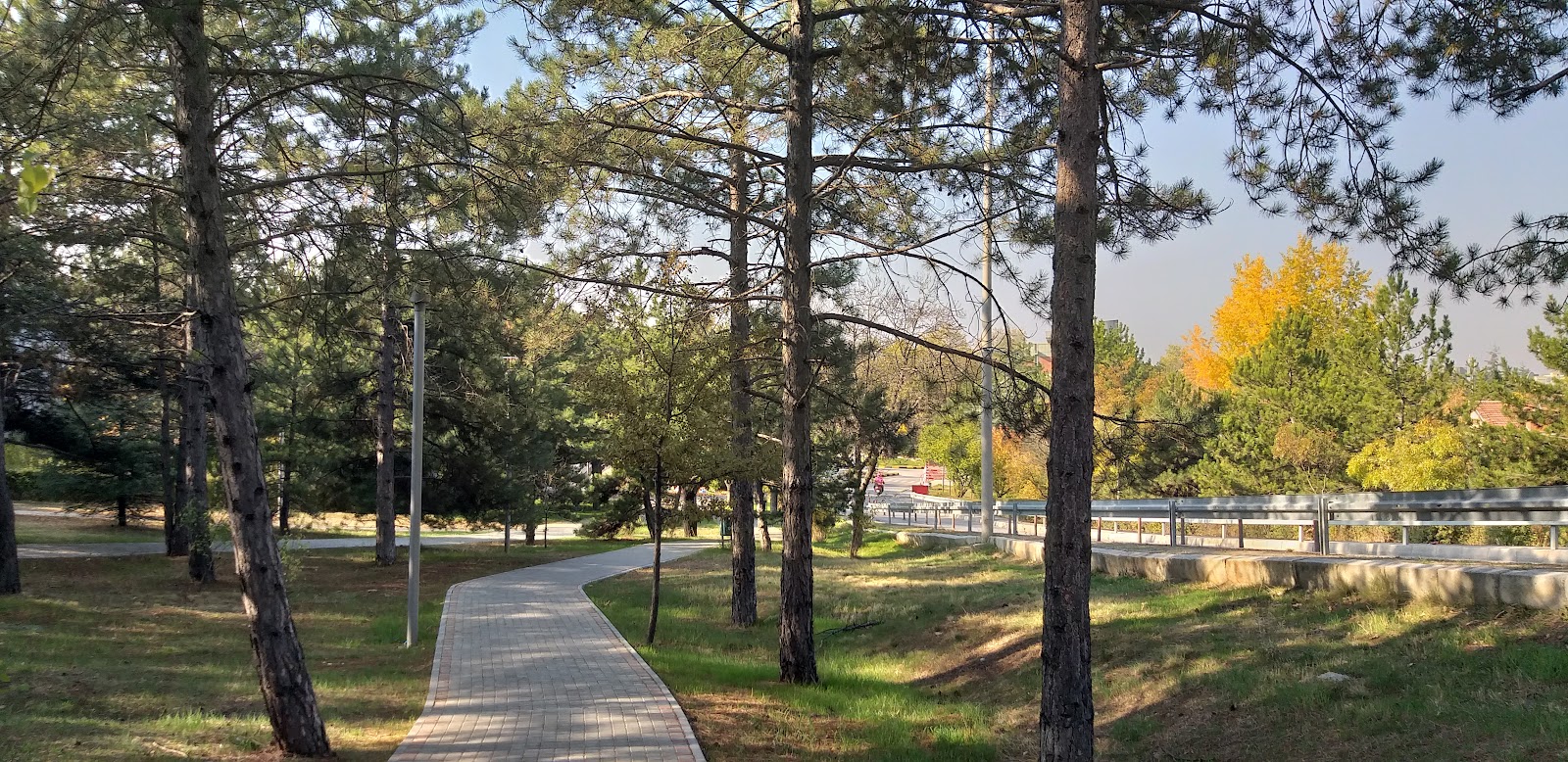 Middle East Technical University