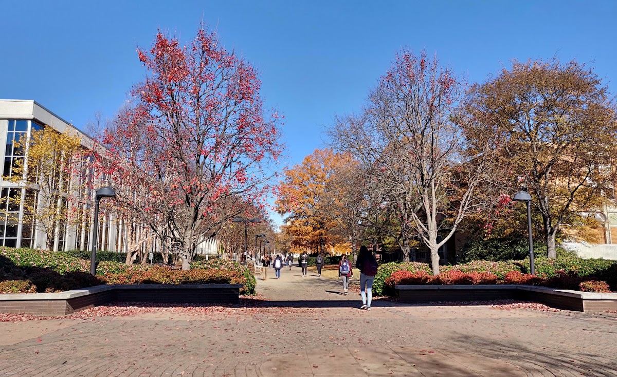 Old Dominion University photo 1