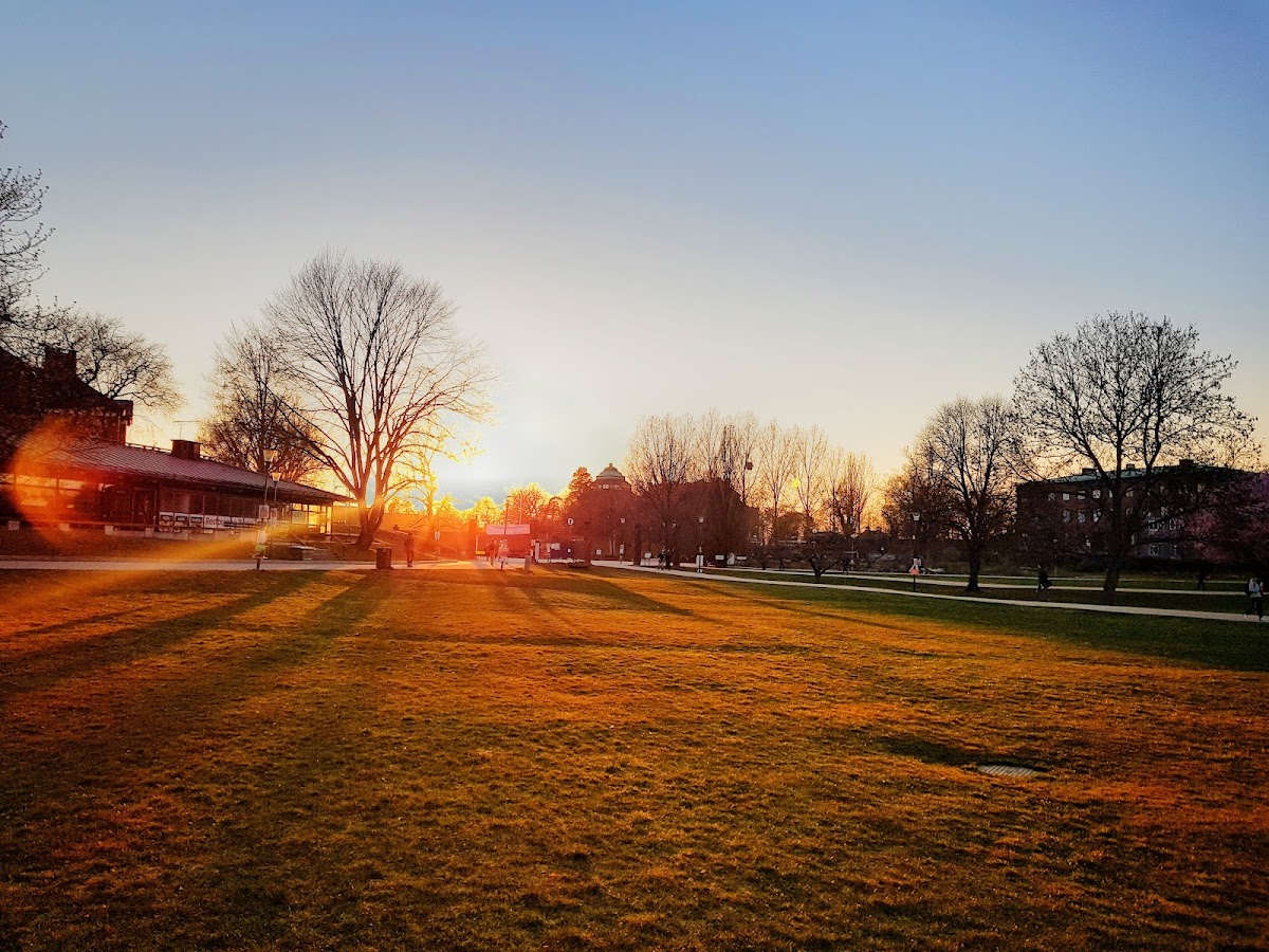 University College Stockholm photo 2