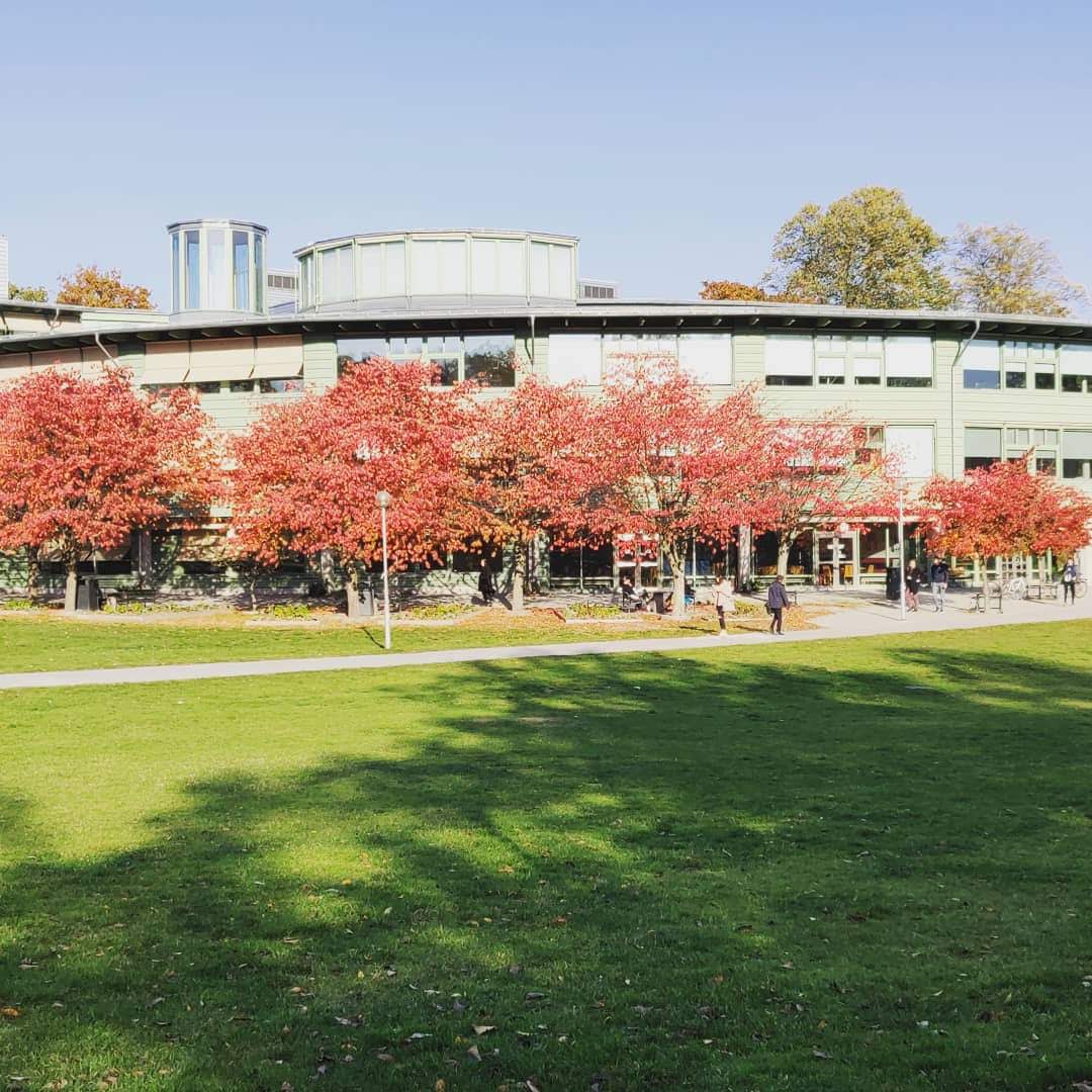 University College Stockholm photo 5