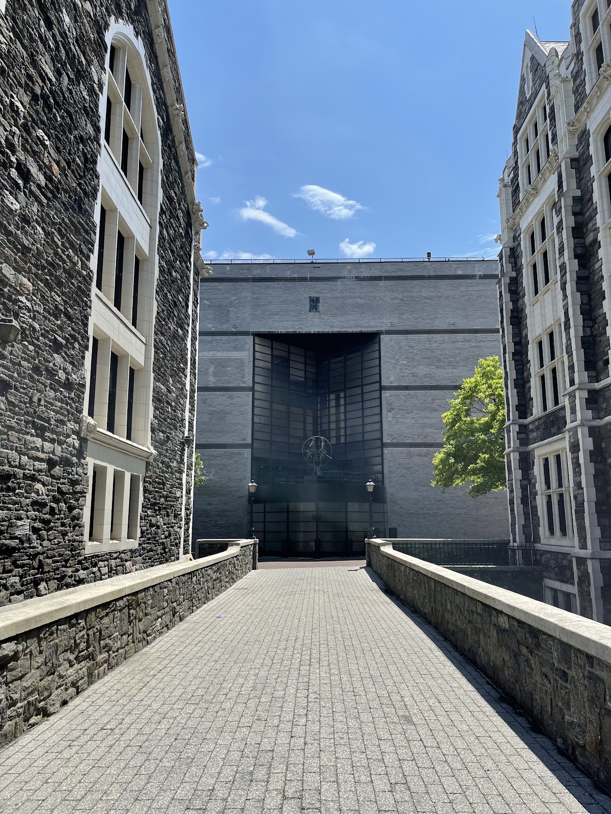 City College CUNY photo 8