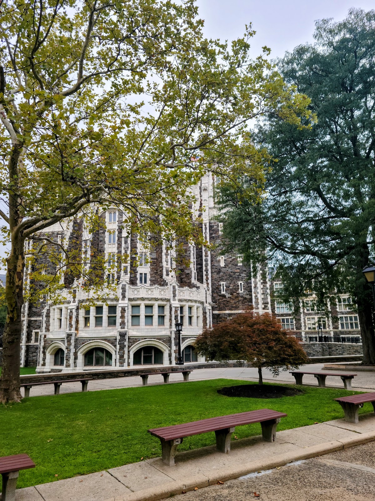 City College CUNY photo 9