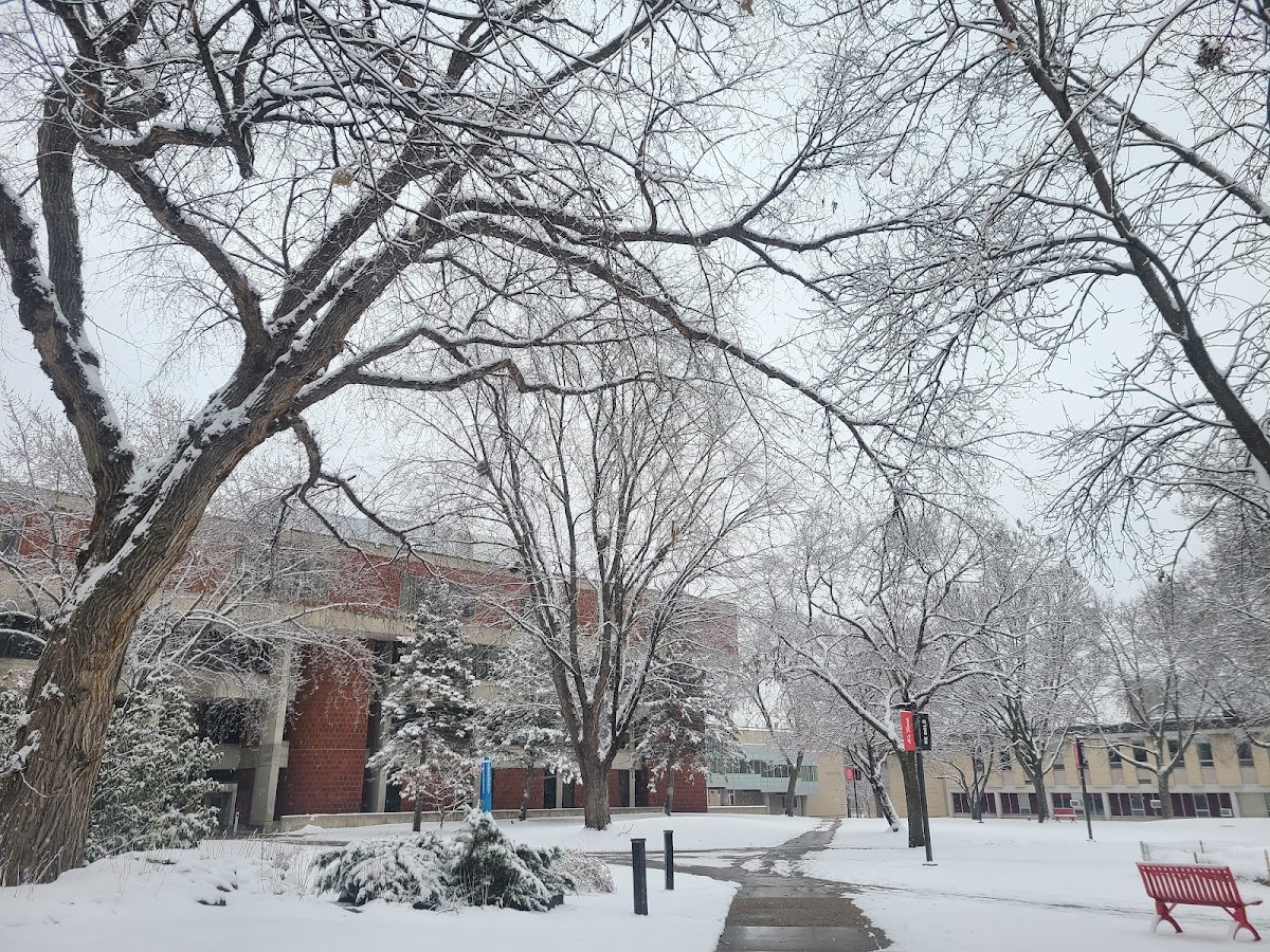 St Cloud State University photo 1