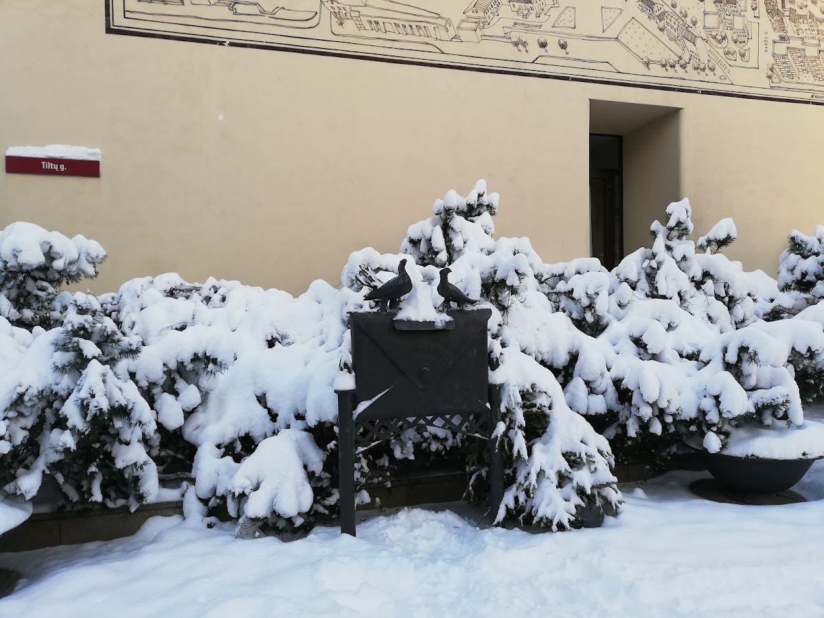 Lithuanian Business College photo 3