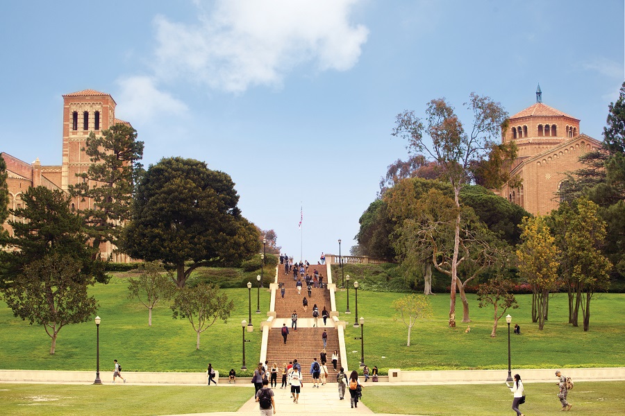 University_1181 photo 1