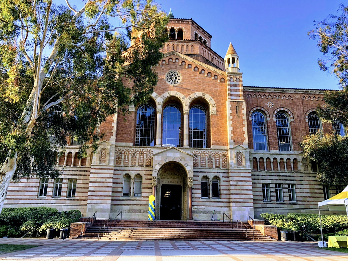 University_1181 photo 3