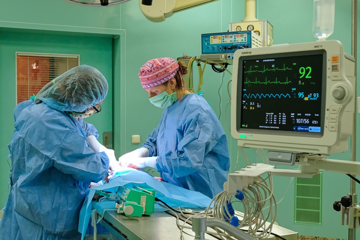 University of Veterinary Sciences Brno photo 6