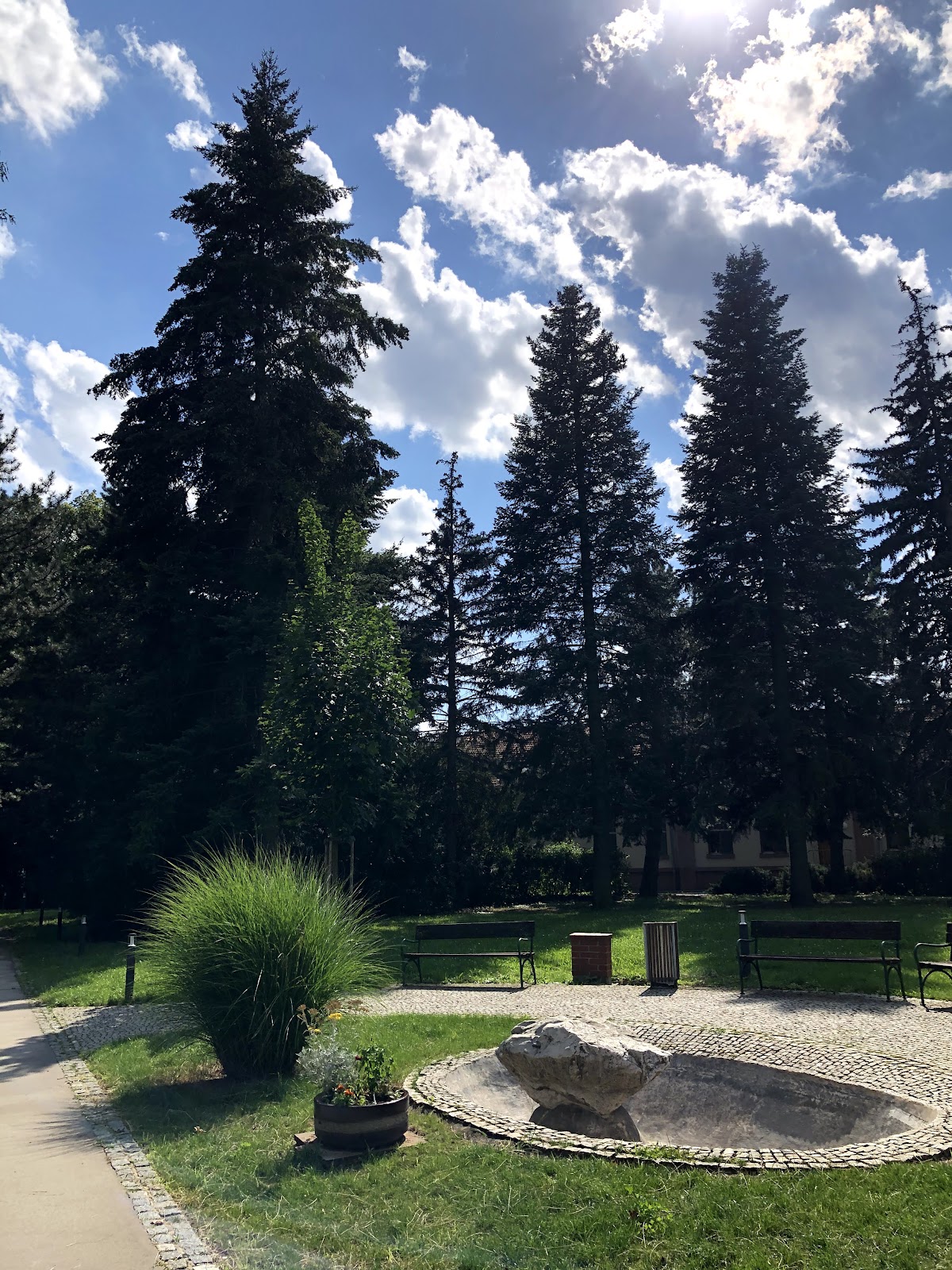 University of Veterinary Sciences Brno photo 9