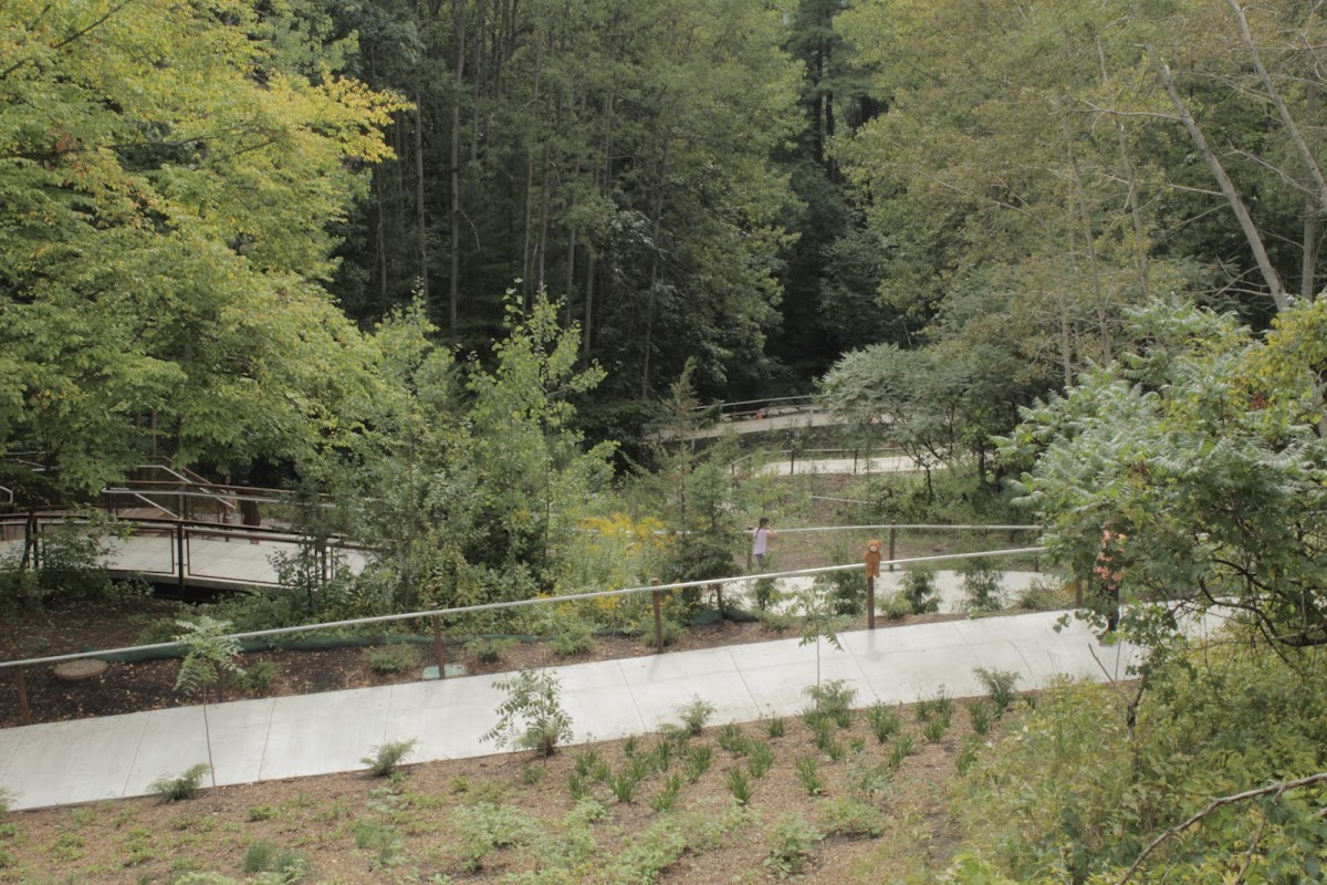 University of Toronto Scarborough photo 2