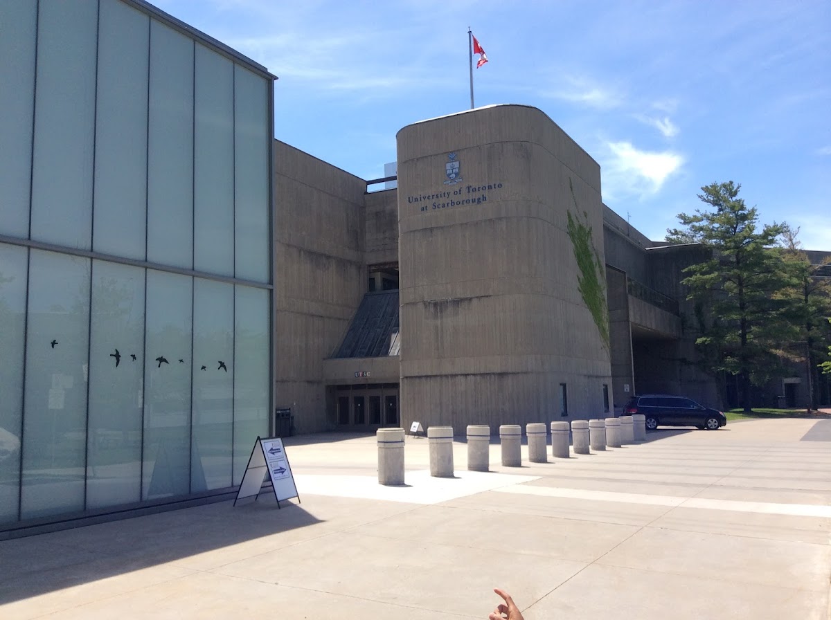 University of Toronto Scarborough photo 3