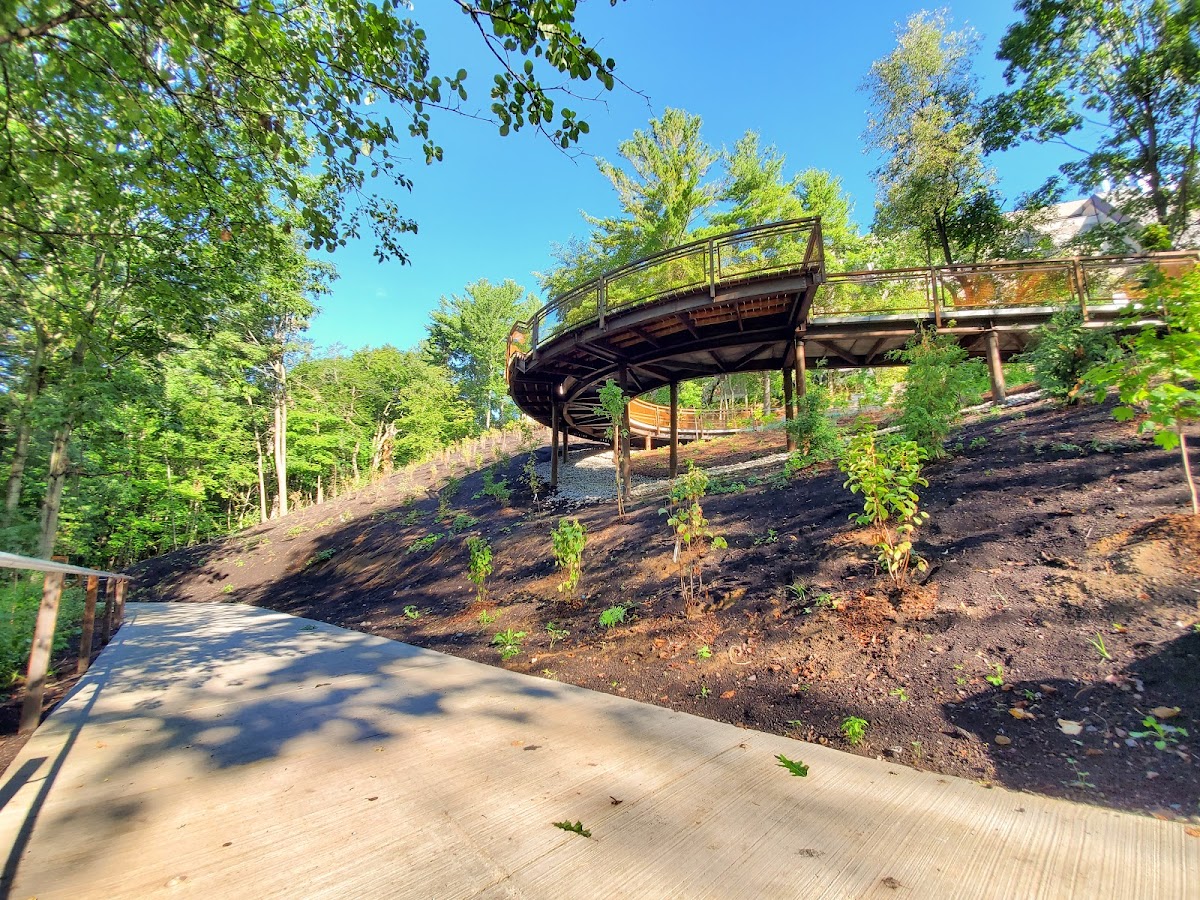 University of Toronto Scarborough photo 5