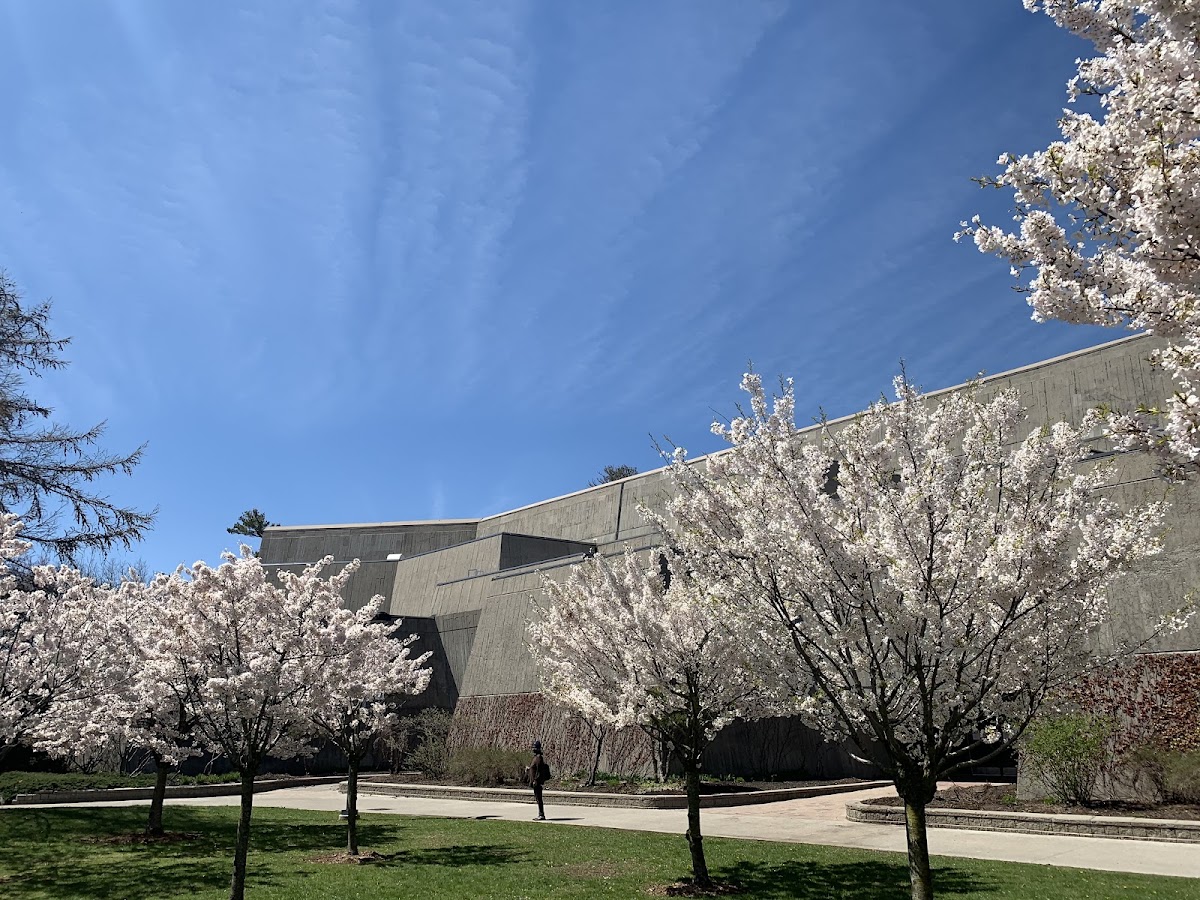 University of Toronto Scarborough photo 6