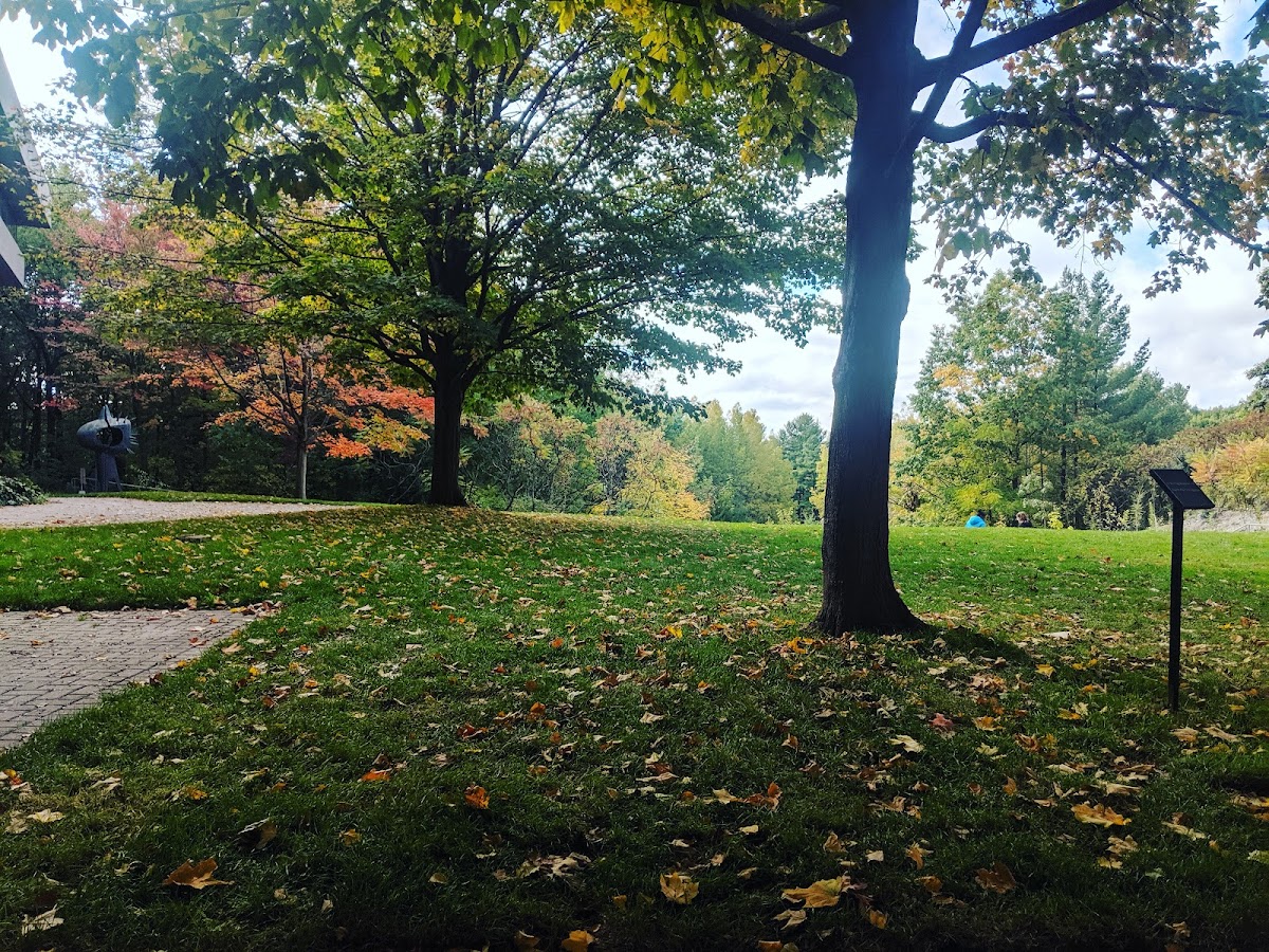 University of Toronto Scarborough photo 7