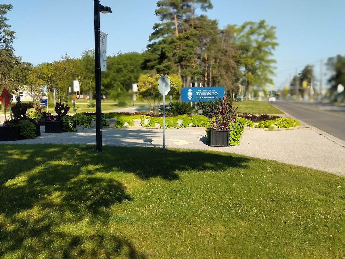 University of Toronto Scarborough photo 8
