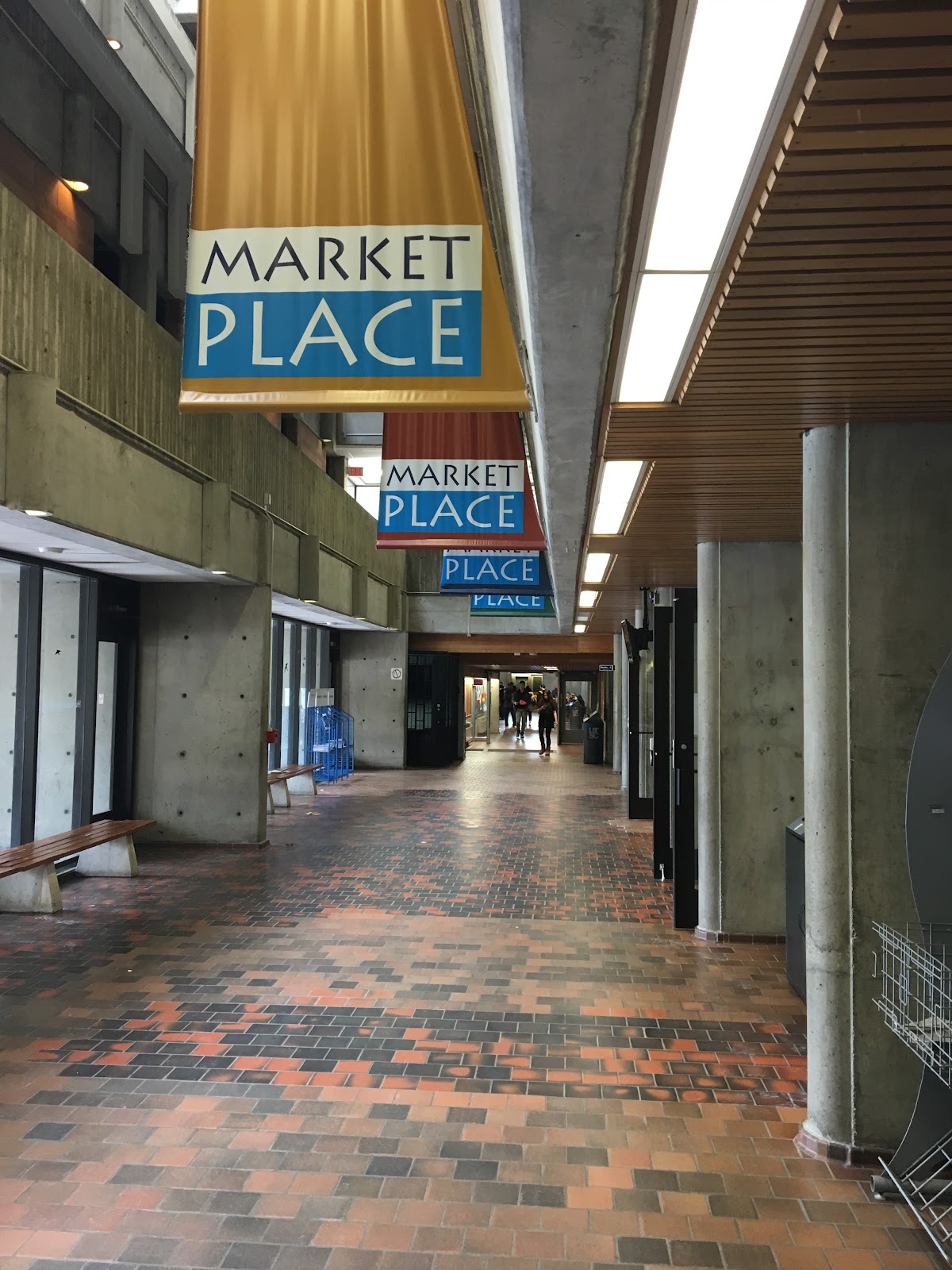 University of Toronto Scarborough photo 9