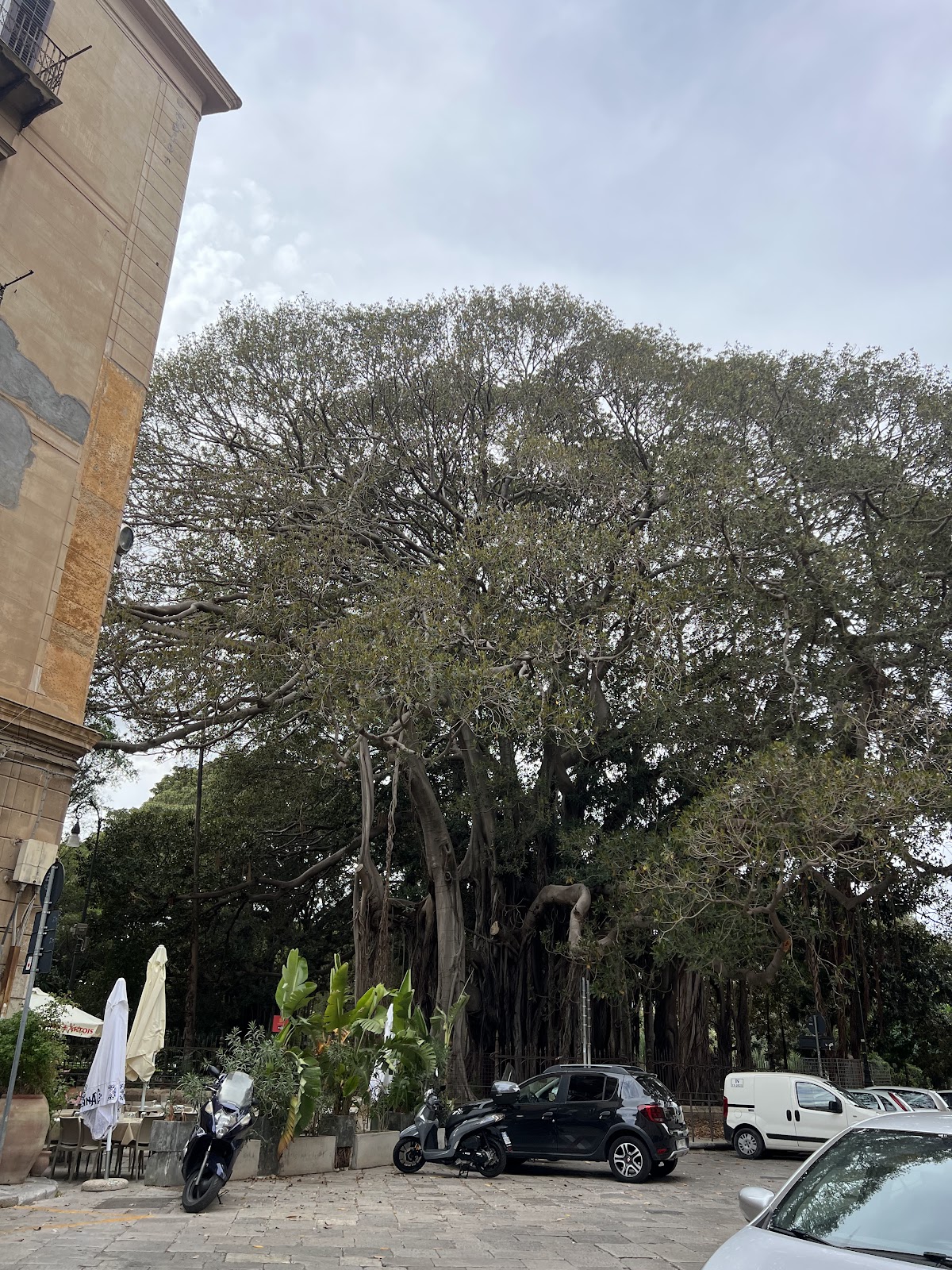 University of Palermo photo 9