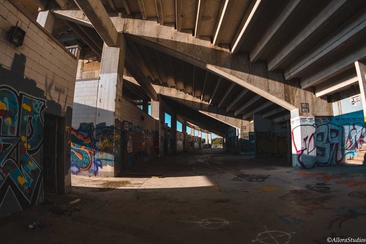 Morris Brown photo 3