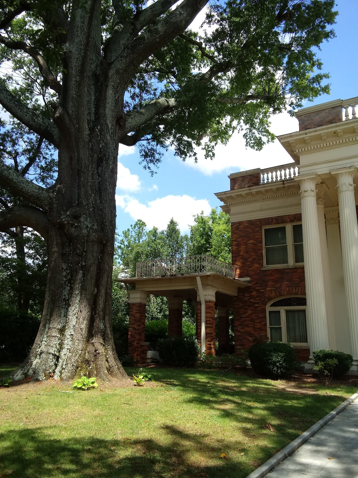 Morris Brown photo 8