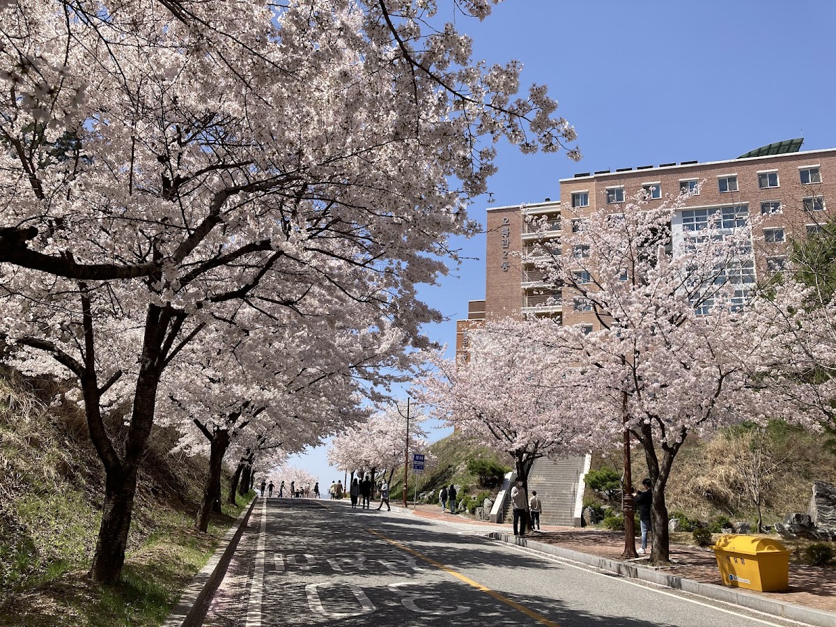 Kumoh National Institute of Technology photo 2