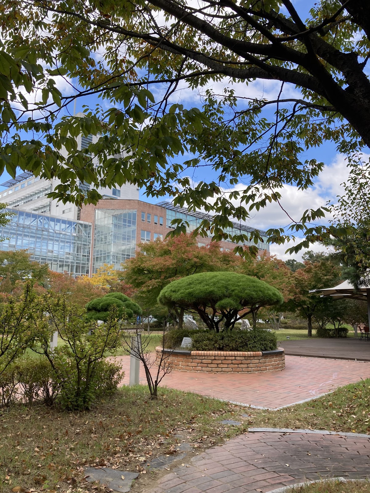 Kumoh National Institute of Technology photo 9