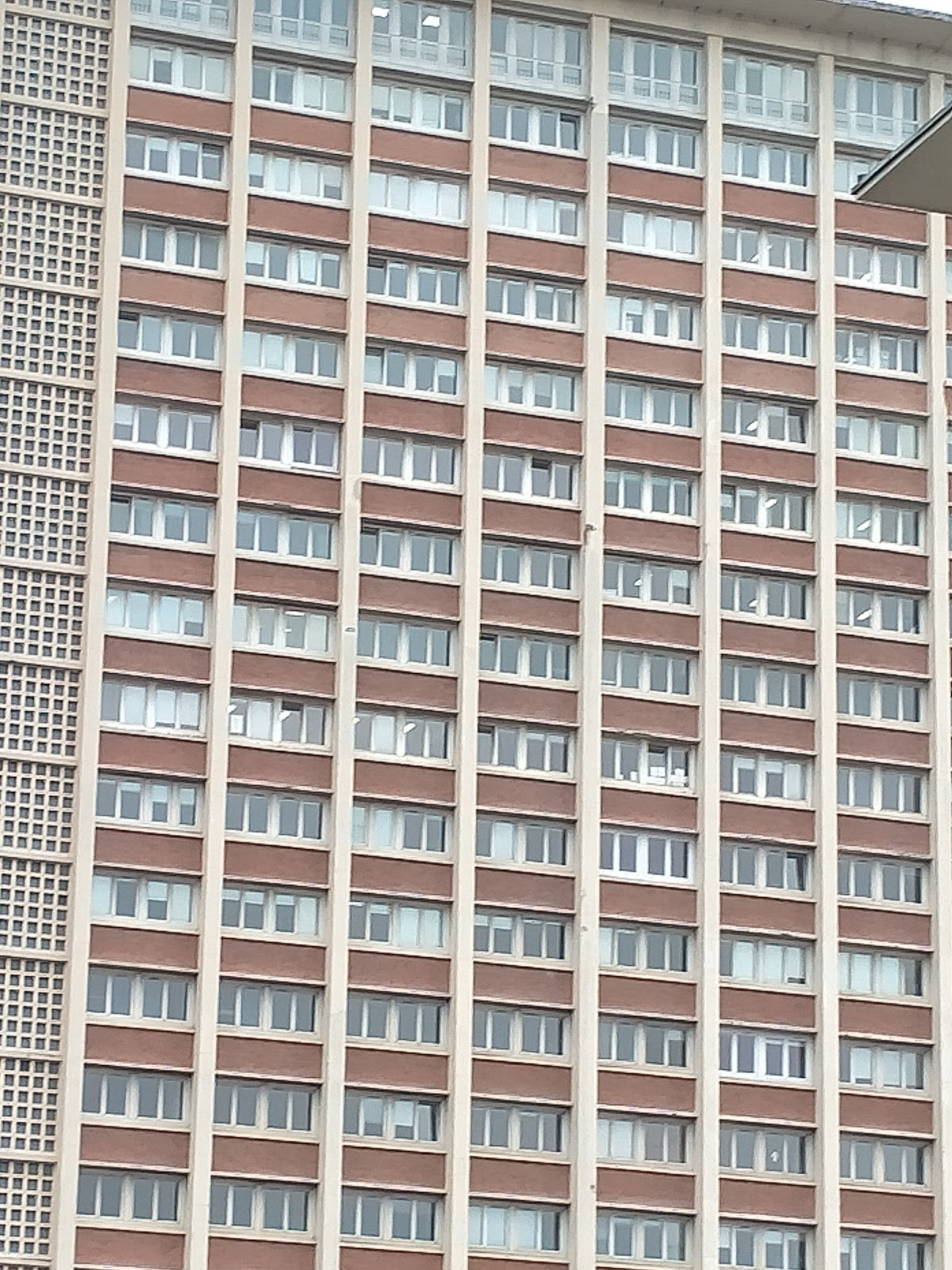 University of Lille photo 5