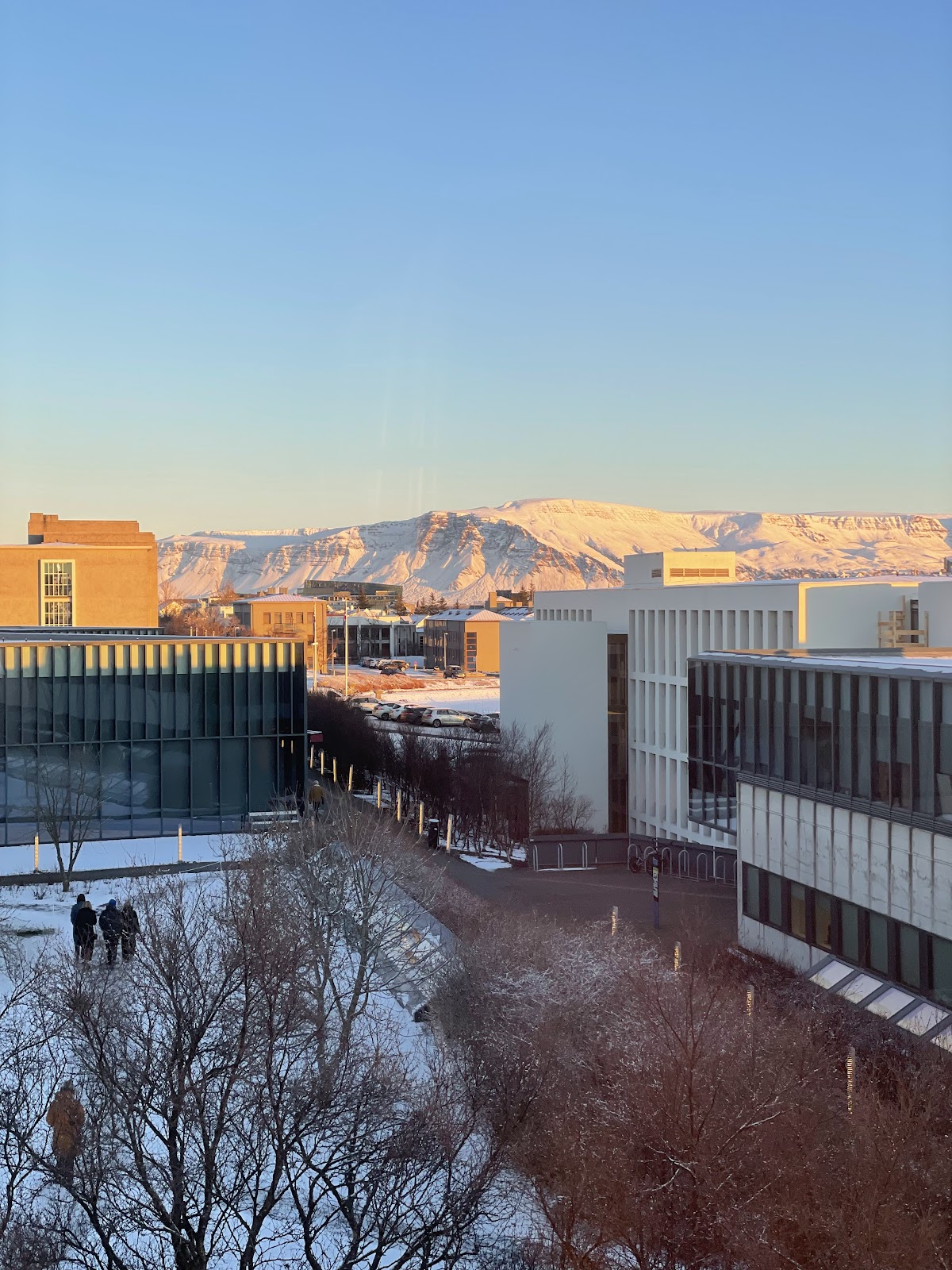 University of Iceland photo 9