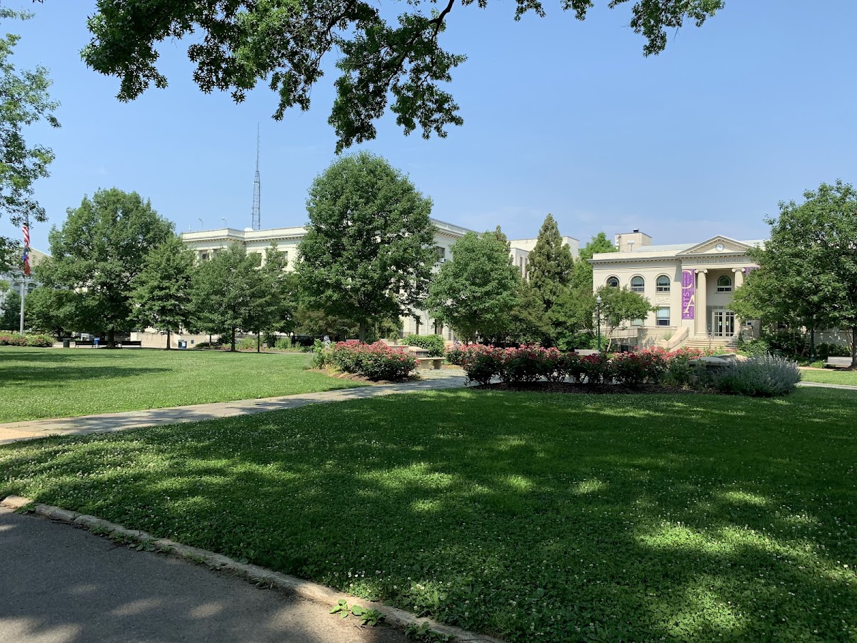 American University photo 3